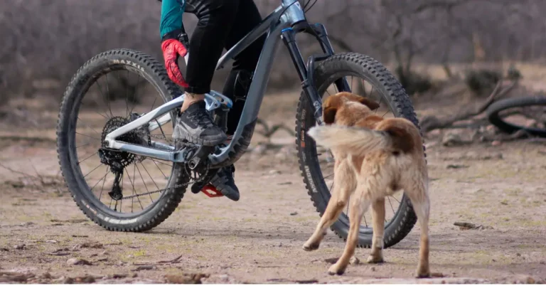 a man on a bike trying to calm an aggressive dog